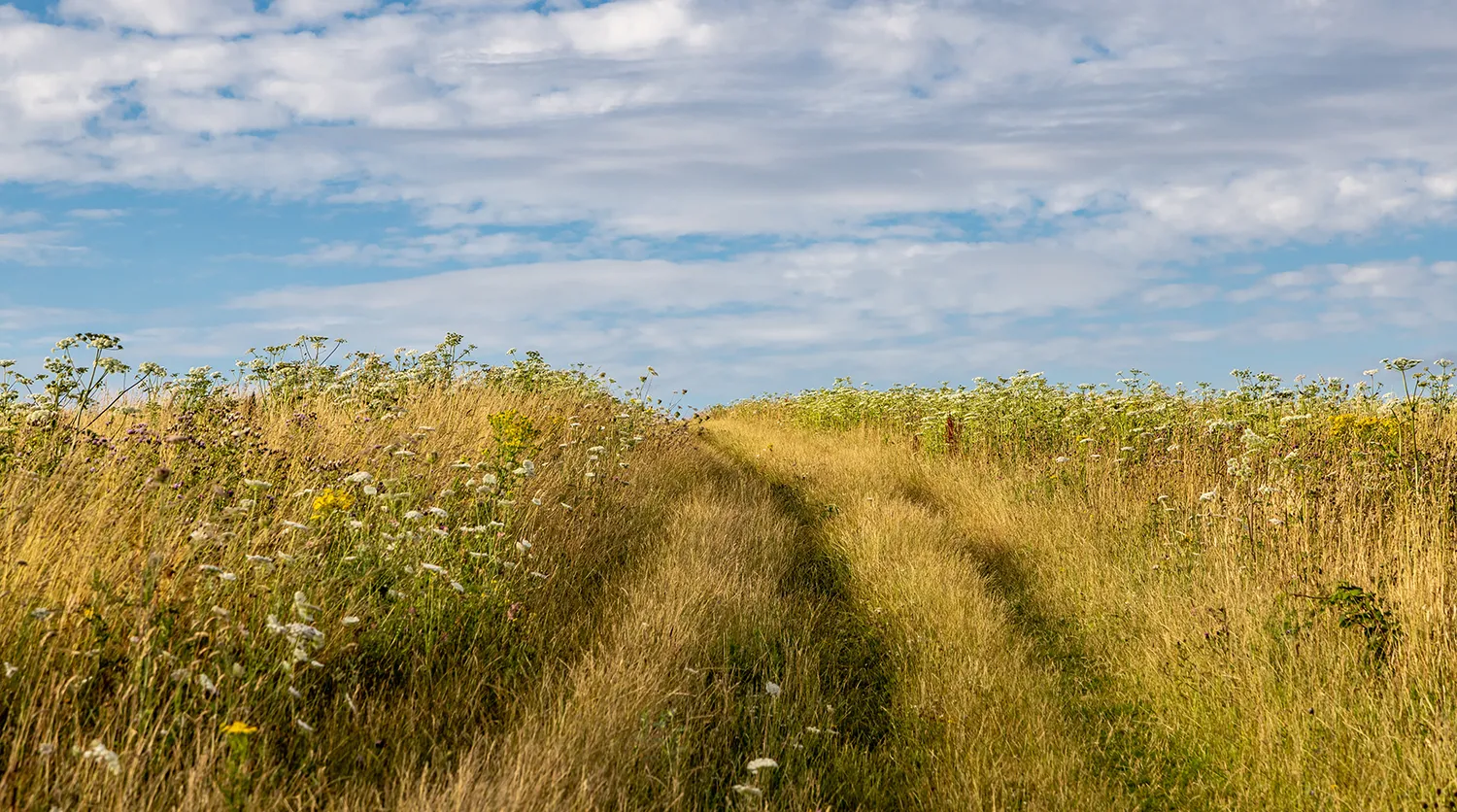 Landowners & Investors