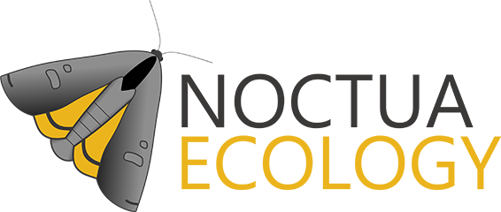 Noctua Ecology