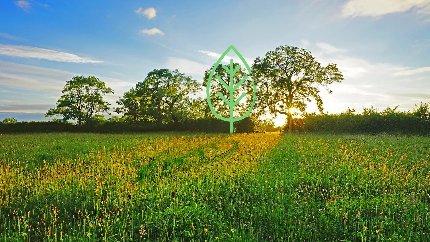 Verdestone services for landowners, developers and businesses